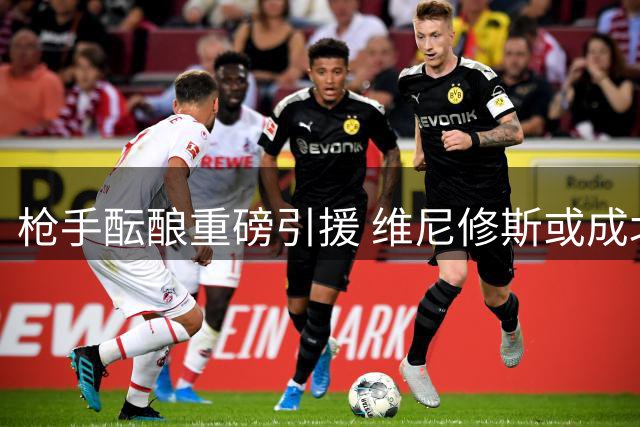 枪手酝酿重磅引援 维尼修斯或成北伦敦新王
