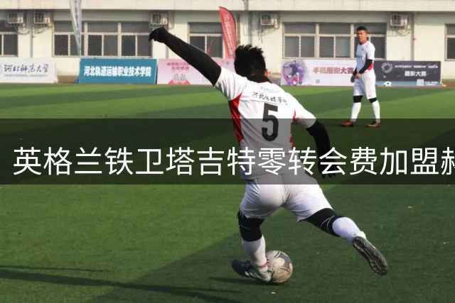 英格兰铁卫塔吉特零转会费加盟赫尔城，开启职业生涯新篇章