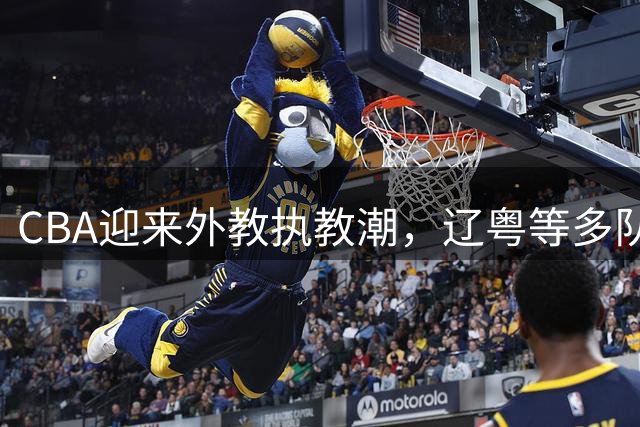CBA迎来外教执教潮，辽粤等多队启用海外主帅